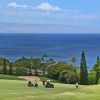 Отель Kapalua Ridge Villas 1414, фото 19