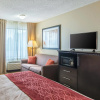 Отель Comfort Inn East, фото 7