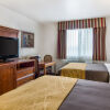 Отель Comfort Inn & Suites, фото 3