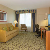 Отель Hilton Garden Inn Buffalo Airport, фото 6