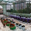 Отель OYO 17340 Home Lively Stay Jawahar Nagar, фото 15