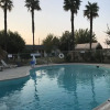Отель 99 Palms Inn & Suites, фото 12