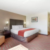 Отель Comfort Inn Los Angeles near Hollywood, фото 22