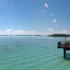Отель Vahine Island Resort, фото 4