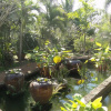 Отель Ban Nong Resort, фото 21