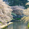 Отель Toyama Jiyukan, фото 12