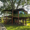 Отель Room in Lodge - Tree House Finca La Floresta Verde, фото 11