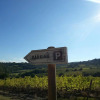 Отель Agriturismo Casa Alle Vacche, фото 3