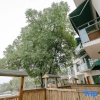 Отель xinbo nanshan homestay, фото 11