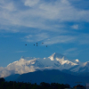 Отель Himalayan Inn, фото 10