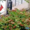 Отель Jingshe Hostel, фото 14