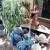 Отель Pinecone Getaway, фото 8