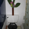 Отель Ayawaska Hostal, фото 6