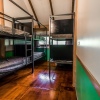 Отель Jackaroo Treehouse Mission Beach - Hostel, фото 26