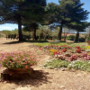 Отель Agriturismo Boschetto di Montiano, фото 22