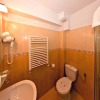 Отель Pension Popasul Domnesc, фото 10