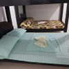 Отель N&J Lopez Lodging House, фото 10