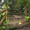 Отель Chachagua Rainforest Hotel & Hot Springs, фото 31