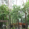 Отель Qooneltas Container House In The Forest, фото 29
