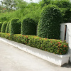 Отель Sirinthara Villa, фото 16