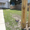 Отель Windsor Park Pad apt 2 min to Mass Ave With AC, фото 13
