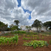 Отель Masseria Cervellera, фото 17