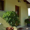 Отель Holiday Apartment Located In The Heart Of Istria, Wifi, Private Parking, фото 5