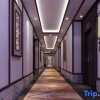 Отель Lijin Hotel, фото 8
