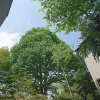 Отель Hakone Morinoyado, фото 14