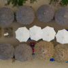 Отель Sea Village Homestay, фото 1