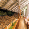 Отель The Bangalow - Galle Fort, фото 10