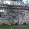 Отель Villa in Redondela, Pontevedra - 102672, фото 2