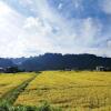 Отель Nagano Farmstay, фото 12