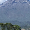 Отель Runako lodge, фото 28