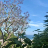 Отель Boutique Hotel Las Islas - Adults Only, фото 18