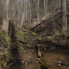 Отель Creekside Mountain by Avantstay Private Sauna, фото 18