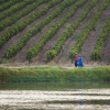 Отель Asara Wine Estate & Hotel, фото 25