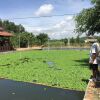 Отель Huong Tuan Farmstay, фото 11