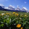 Отель Berggasthaus Oberdorf, фото 17