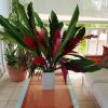 Отель Apartment With 2 Bedrooms in Las Terrenas, With Wonderful sea View, En, фото 3