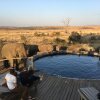 Отель Nambiti Hills Private Game Lodge, фото 18