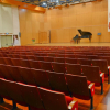 Отель Keshet Eilon Villas and Suites, фото 11