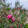 Отель Magganari Moments 3, фото 15
