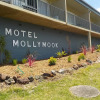 Отель Mollymook Motel, фото 1