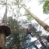 Отель Lawu Forest Camp, фото 18