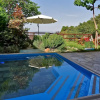 Отель Great Pelion Villa Villa Dioni 2 bedrooms Aghios Georgios, фото 13