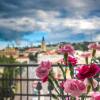 Отель Panorama Przemysl, фото 21