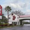 Отель Knights Inn Palm Harbor в Палм-Харборе