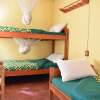 Отель Amahoro Guest House - 6-bed Mixed Dormitory Room, фото 1