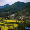 Отель Houyuan Cottage  Homestay, фото 10